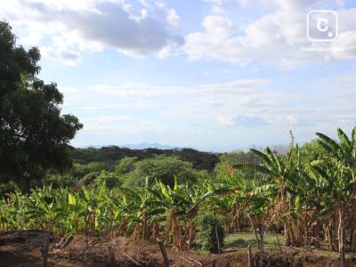 Terreno en venta en Santo Domingo, Managua – 9,308 varas²