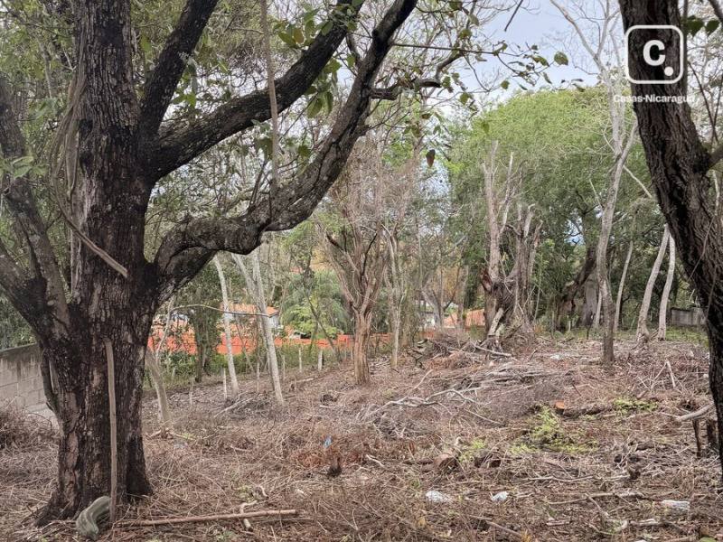 Terreno en venta en Santo Domingo, Managua – 1,682 m²