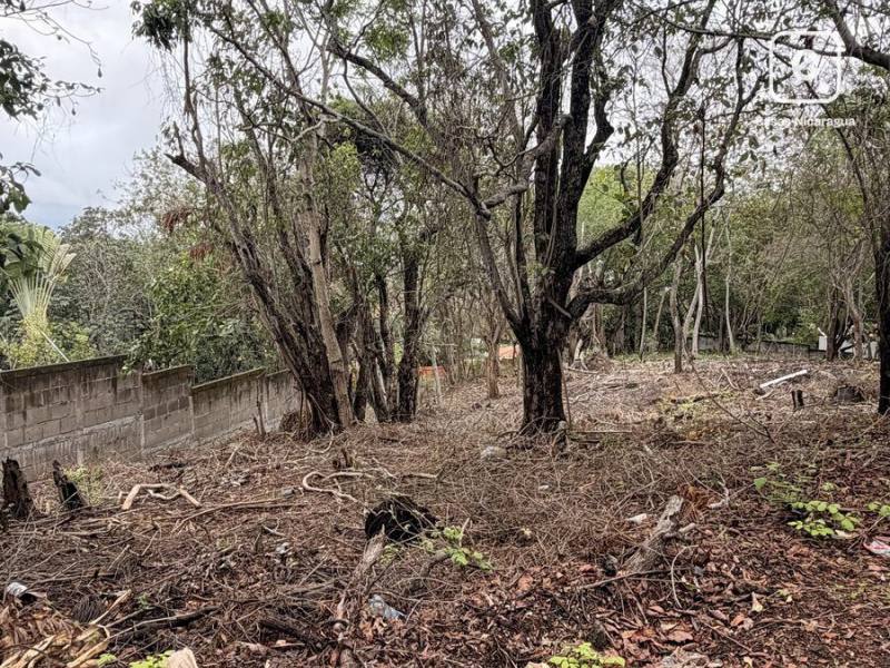 Terreno en venta en Santo Domingo, Managua – 1,682 m²