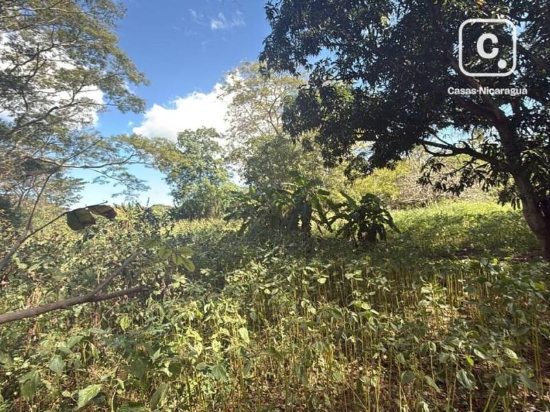 House for sale in Managua – 1,762 m²