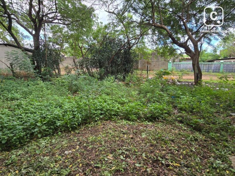 Lot for sale in Managua – 395 m², US$ 30,000