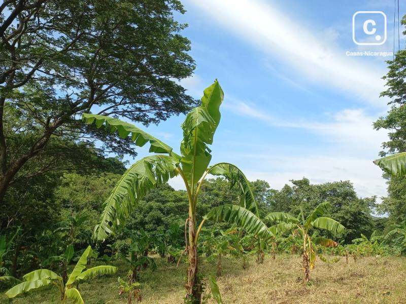 Finca en venta en Tola, Rivas – 3,578 varas²