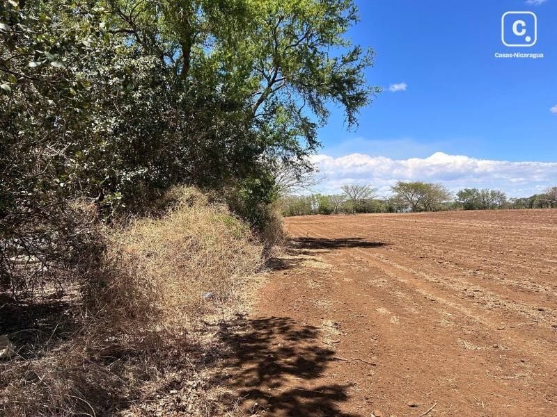 Bodega en venta en Masaya – 132,185 m²