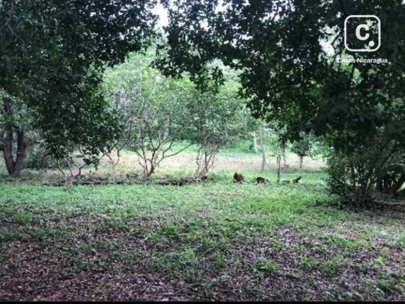 House for sale in Managua