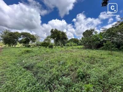 Casa en venta en Carazo – 18,848 m²