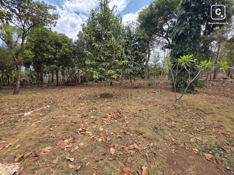 House for sale in Sábana Grande, Managua