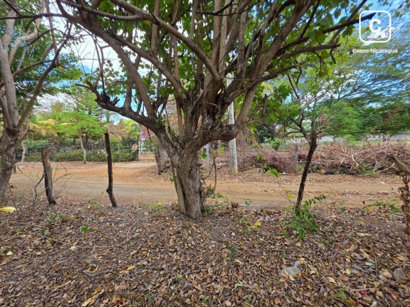 House for sale in Managua – 635 m²