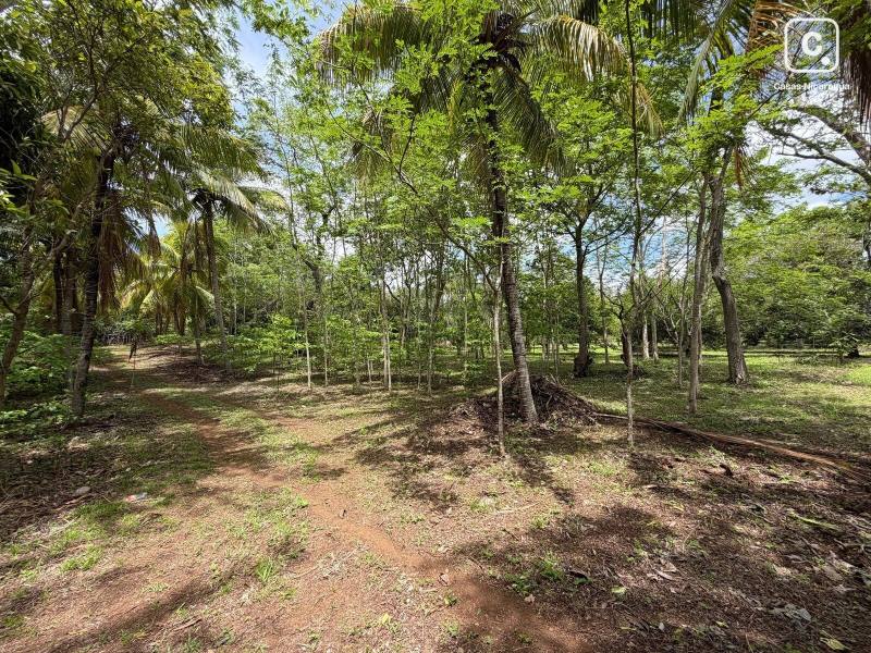 House for sale in Masaya