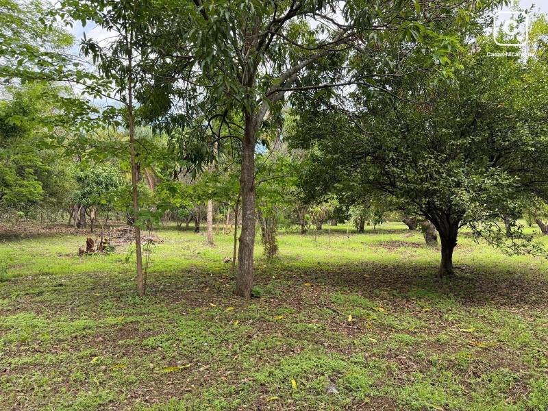 House for sale in Masaya