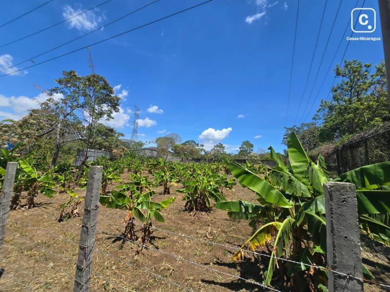 House for sale in Niquinohomo, Masaya – 3,060 varas²