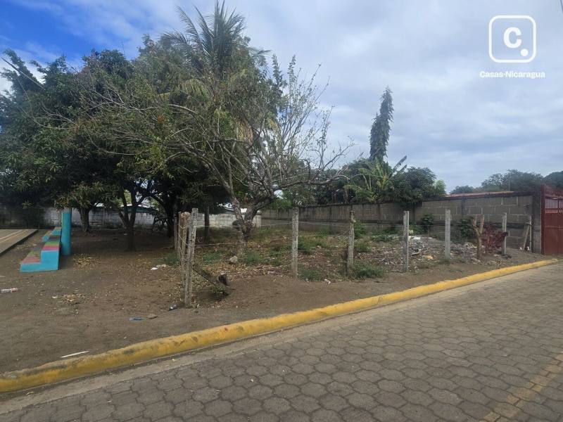 Lot for rent in Masaya – 482 m²