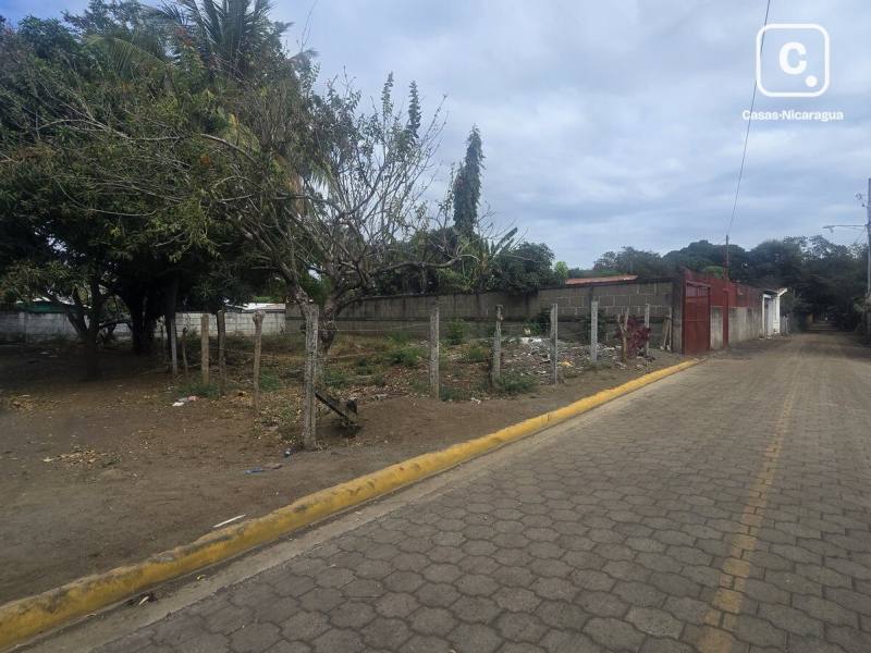 Lot for rent in Masaya – 482 m²