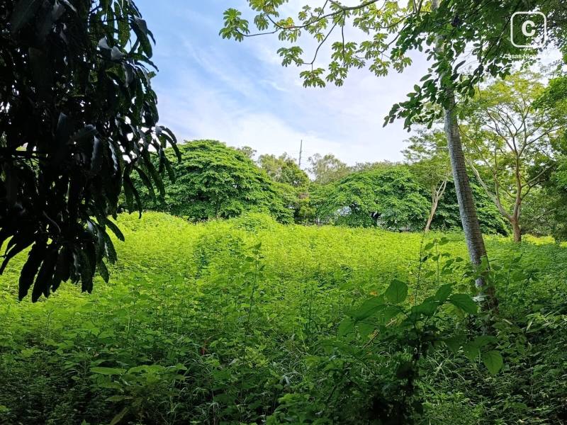 Casa en alquiler en Carretera Masaya, Managua – 7,050 m²
