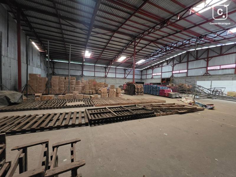 Casa en alquiler en Las Jaguitas, Managua – 1,000 m²