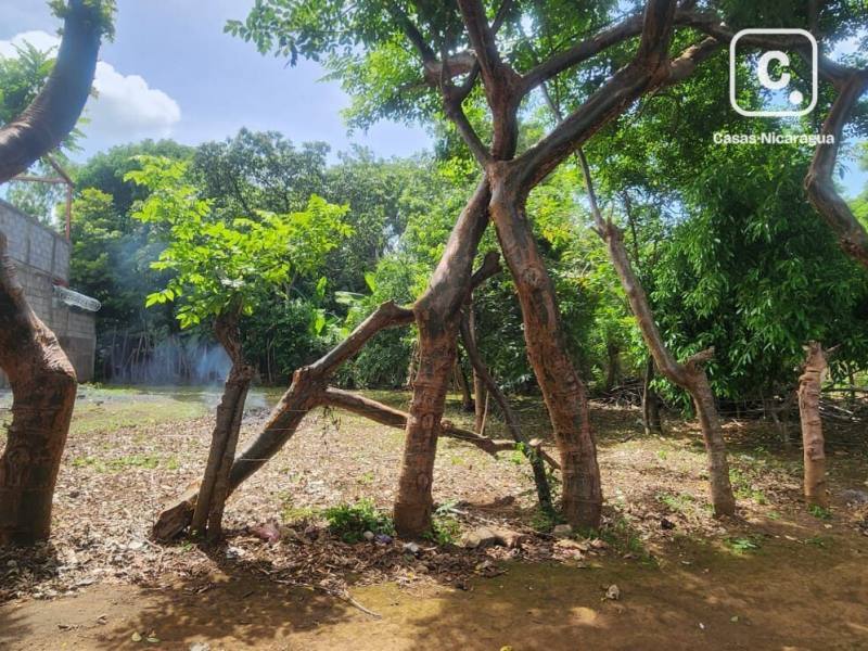 House for sale in Masaya – 318 m²