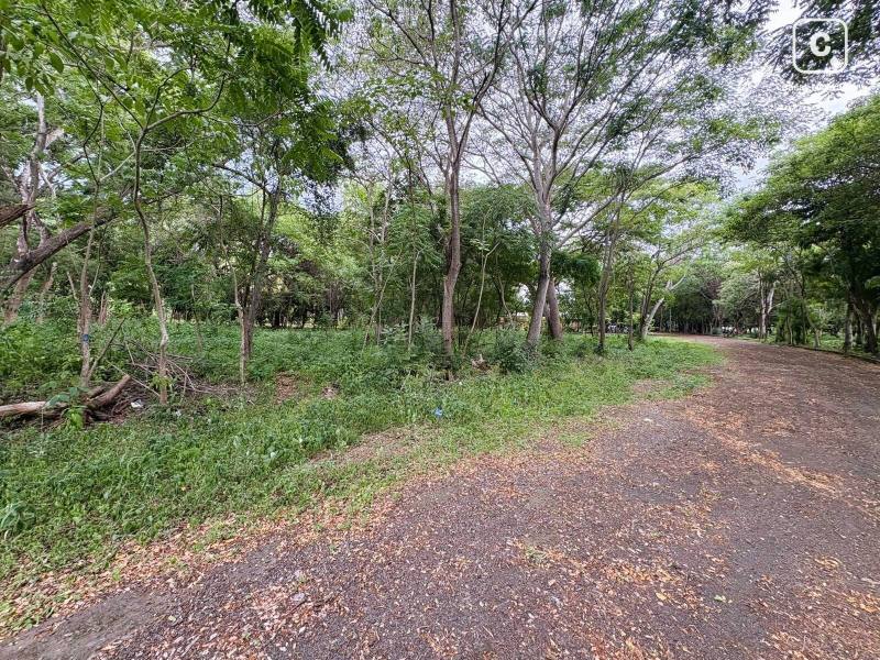 Apartamento en venta en Masaya – 10,090 varas²