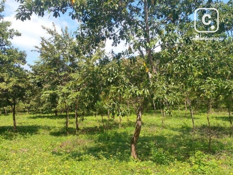 Casa en venta en Granada – 1,392,528,669 m²