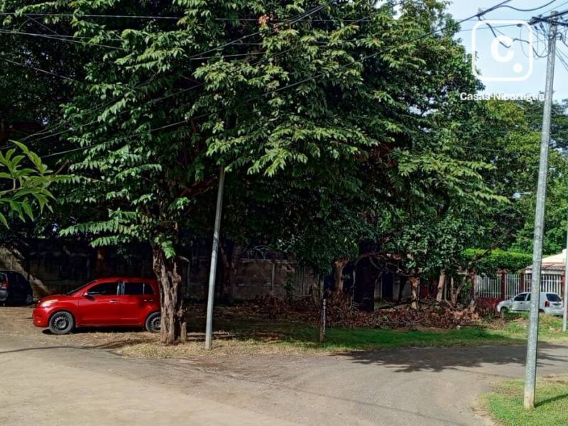 Lot for sale in Masaya – 444 m²