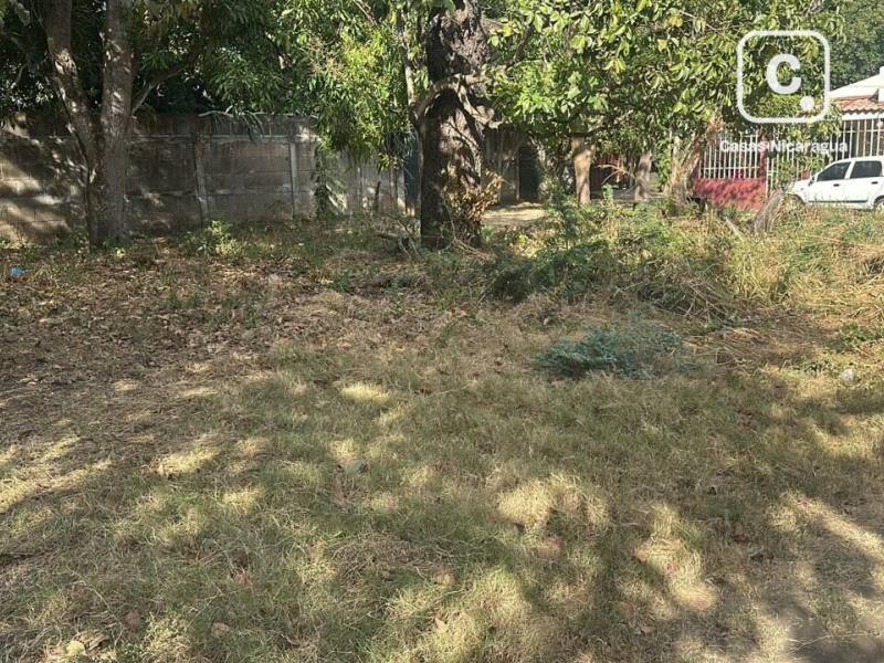 Lot for sale in Masaya – 444 m²