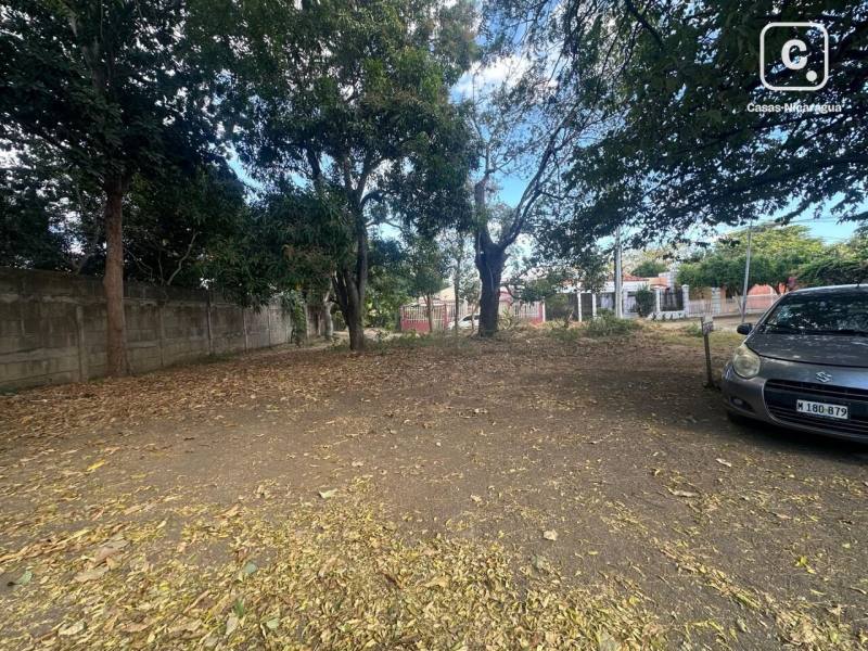 Lot for sale in Masaya – 444 m²