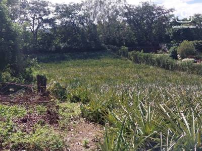 Terreno en venta en Santo Domingo, Managua – 2,509 m²