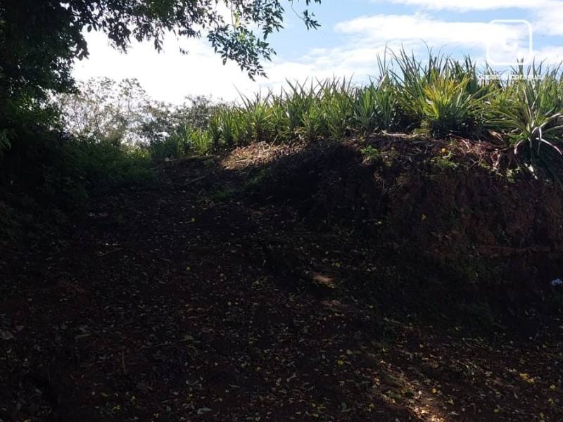 Terreno en venta en Santo Domingo, Managua – 2,509 m²