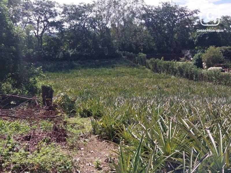 Terreno en venta en Santo Domingo, Managua – 2,509 m²