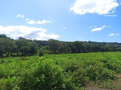 Terreno en venta en Carretera Vieja a León, Managua – 5,168 varas²