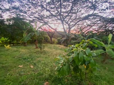 Lot for sale in Managua – 16,093 m²