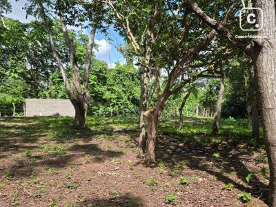 Terreno en venta en Jinotepe, Carazo – 1,120 m²