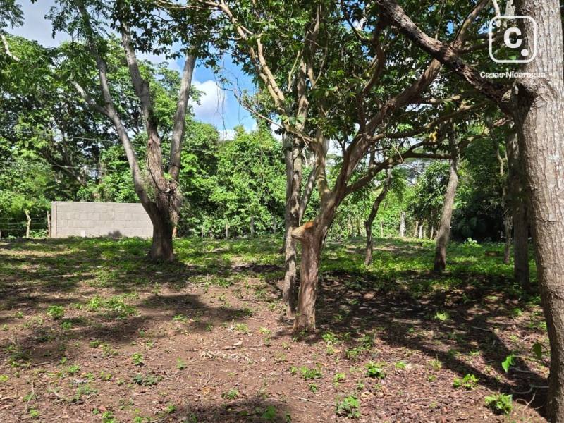 Lot for sale in Jinotepe, Carazo – 1,120 m²