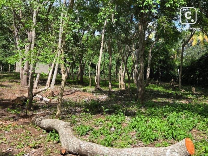Lot for sale in Jinotepe, Carazo – 1,120 m²