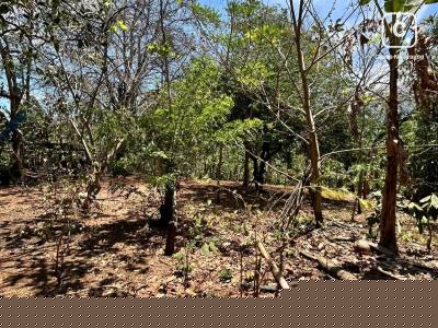 Lot for sale in Masatepe, Masaya – 4,666 m²