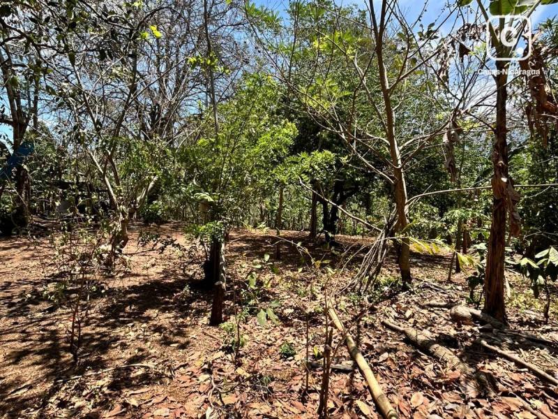 Casa en venta en Masatepe, Masaya – 4,666 m²
