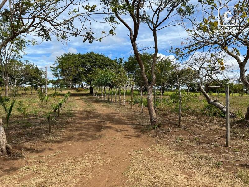 Lot for sale in Diriamba, Carazo – 2,503 m²