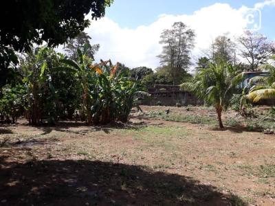 Finca en venta en Santo Domingo, Managua – 4,835 varas²