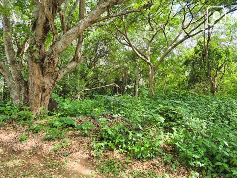 House for sale in Managua – 1,870 varas², US$ 123,400