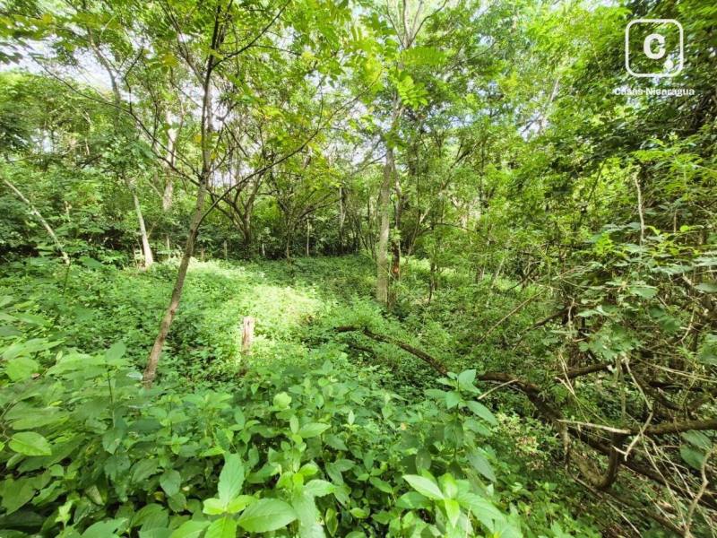 House for sale in Managua – 1,870 varas², US$ 123,400