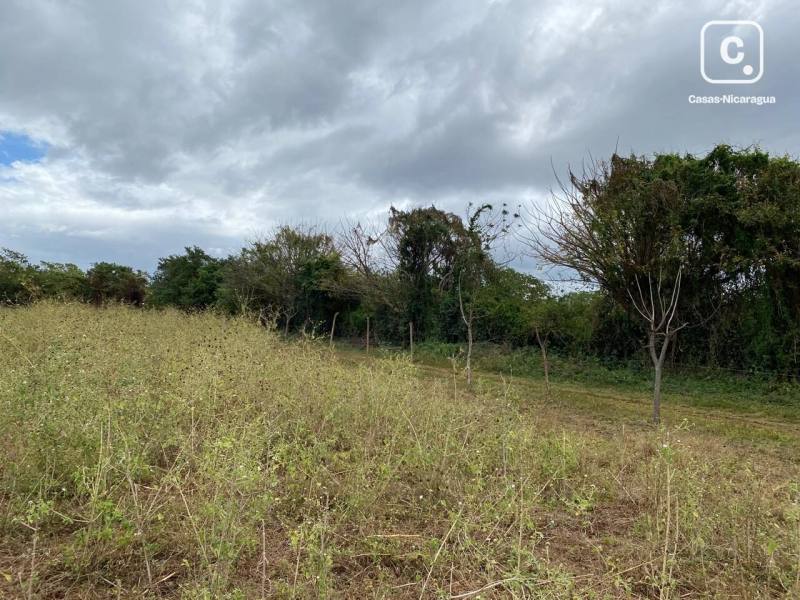 House for sale in Nindirí, Masaya – 64,423 m²
