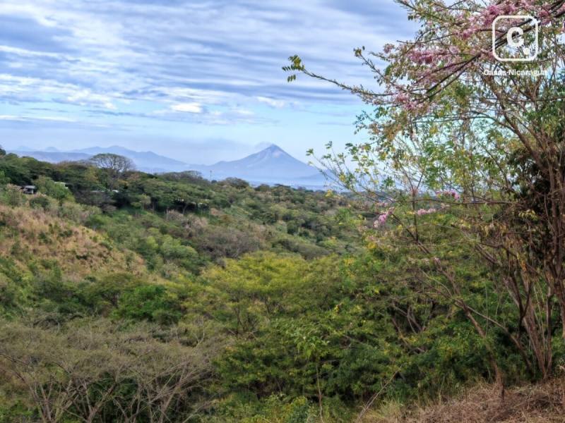 Apartamento en venta en Managua – 22,699 m²