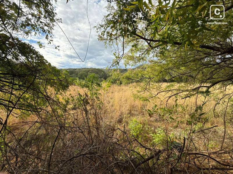 Lot for sale in Carretera Sur, Managua – 277 m²