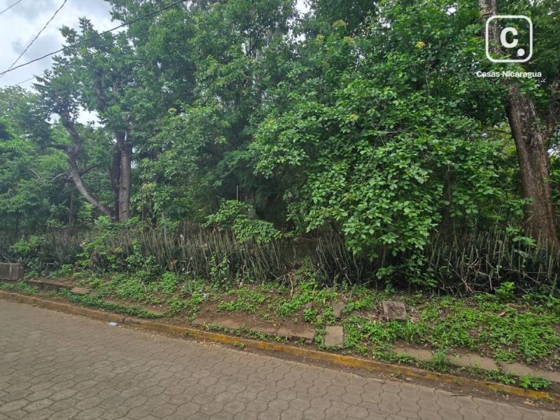 Lot for sale in Managua – 1,646 m²