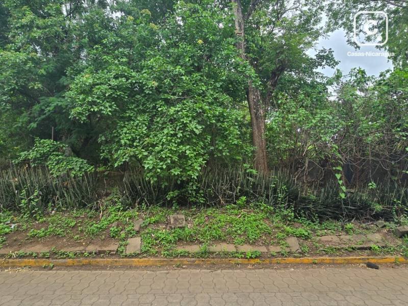 Lot for sale in Managua – 1,646 m²