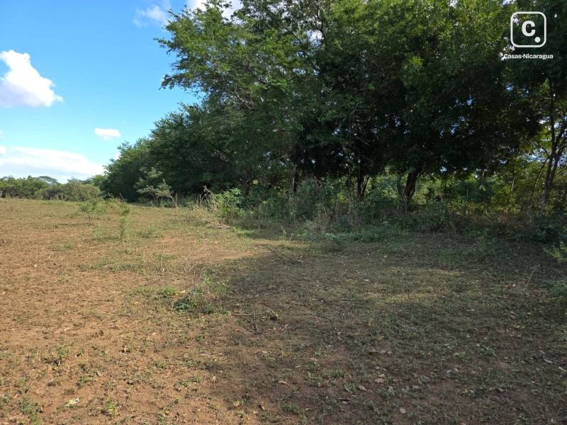 Casa en venta en Pista Jean Paul Genie, Managua