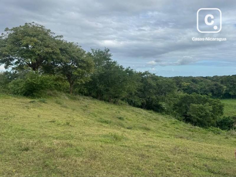 Casa en venta en San Isidro de la Cruz Verde, Managua – 3,783 varas²