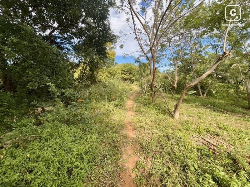 House for sale in Tola, Rivas – 7,165 m²