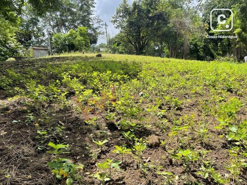 House for sale in Villa Fontana Sur, Managua – 4,261 m²