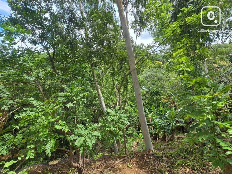 Terreno en venta en San Isidro de Bolas, Managua – 2,235 m²