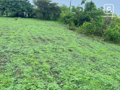 Finca en venta en Carazo – 60,397 varas²