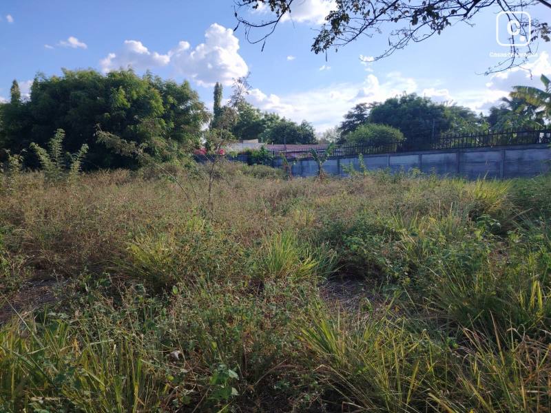 Apartamento en venta en Las Colinas, Managua – 1,009 varas²